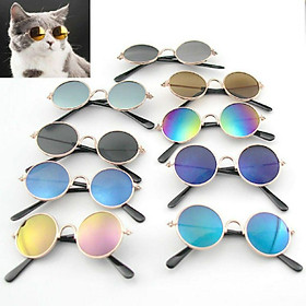 Hình ảnh kính mắt thời trang cho choa mèo thú cưng