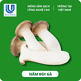 Nấm