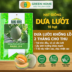 Hạt Giống Dưa Lưới Ruột Vàng Greenhome, Gói 10 Hạt, Dễ Trồng Quanh Năm, Nảy Mầm Cao, Thu Hoạch Nhanh, Năng Suất Cao T14 - DƯA LƯỚI T14