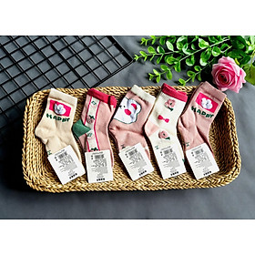 SET 5 ĐÔI TẤT TRẺ EM HỒNG DỄ THƯƠNG SIZE TỪ 1-12 TUỔI CHO BÉ GÁI