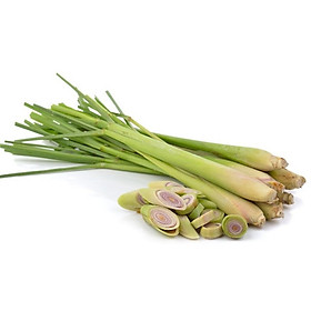 SẢ CÂY