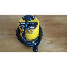Mua Máy bơm chìm 12v ( 70L/phút )