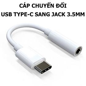Đầu chuyển Type C sang Audio 3.5mm & Type C Baseus L40 (12cm Type C Male to Type C Female + 3.5mm Female Adapter)