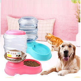 Bộ Khay ăn và khay uống cho Pet (Chó, mèo) (Bán tự động ) MFD-01, Máng ăn, bát ăn uống cho pet - Màu ngẫu nhiên