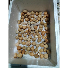 Mua Trứng ốc thái lan 10 ổ lớn ốc bươu đen ốc nhồi. 2 con 1kg