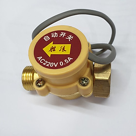 Rơ Le Máy Bơm Tăng Áp Mini 220V - 0,5A