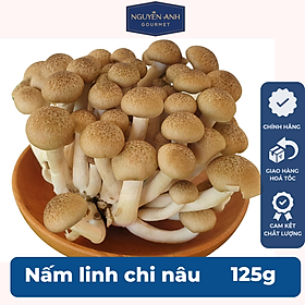 Nấm linh chi nâu tươi 125g nông trại Nấm Xanh Chỉ giao HCM