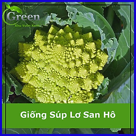 Mua Hạt Giống Súp Lơ San Hô