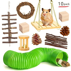 Hamster Chew Toys Sets 10pcs Small Animal Activity Toys Chinchilla Chew Toys with Tunnel and Swing Teeth Care Molar Toy