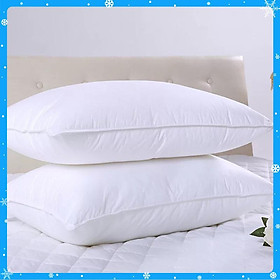 Mua 2 Ruột Gối hơi Cao Cấp Làm Từ Bông Trắng 40 x60cm - Hàng Chất Lượng