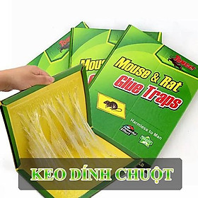 Mua Keo dán chuột - bẫy chuột- bẫy dính chuột