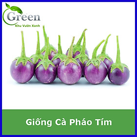 Hạt Giống Cà Pháo Tím Sai Trái