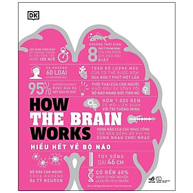 How The Brain Works - Hiểu Hết Về Bộ Não