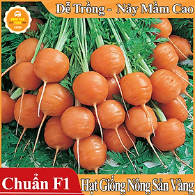 Hạt giống Cà Rốt Củ Tròn ( 0,5 Gram ) - Nông Sản Vàng