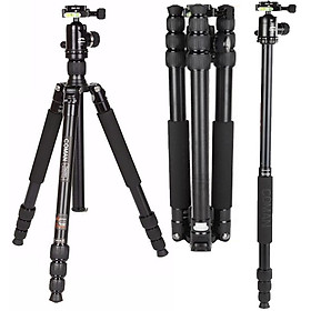 Mua Chân máy ảnh Coman TM-256AC0  Hàng chính hãng