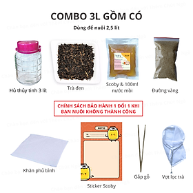 Mua Combo 3L đầy đủ nuôi scoby làm trà kombucha (dùng để nuôi 2 5 lít)