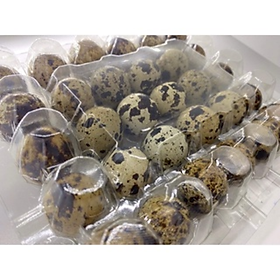 Trứng cút -3109376