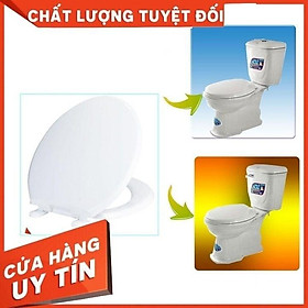 Mua Nắp Bồn Cầu  Nắp Bồn Cầu Màu Trắng