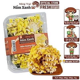 Nấm Hoàng Kim Tươi (Nấm Ngô Tươi) 100gr 200gr 500gr  - Nông Trại Nấm Xanh