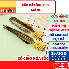 Cầu đá lông đen phổ thông FREESHIP Có video thật Cầu đá lông đen phổ thông giá rẻ - Phát Huy Hoàng
