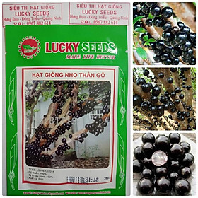 Cây nho thân gỗ - Hạt giống + Tặng 01 cây dâu da đất
