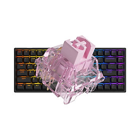 Mua Bàn phím cơ AKKO 3084 v2 RGB Black/White (Foam tiêu âm / Hotswap / AKKO CS Jelly switch)_Mới  hàng chính hãng