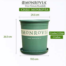 3 Chậu nhựa trồng cây MONROVIA 3 Gl, chậu trồng cây, chậu cây cảnh mini, để bàn, treo ban công, treo tường, cao cấp, chính hãng thương hiệu MONROVIA