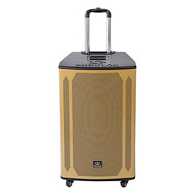 Mua Loa Kéo Karaoke Rinton PL-5 (400W) - Hàng Chính Hãng
