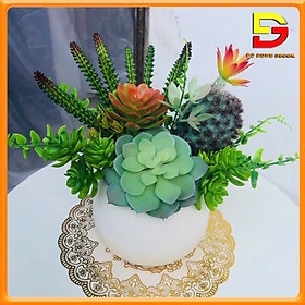 Mua Chậu Sen Đá Chậu Cây Giả Để Bàn Decor Bàn Trà Kệ Tủ Cao 20cm Nhiều Mẫu Cắm Sẵn DG-145