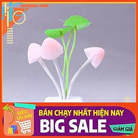 Mua Đèn Ngủ Cây Nấm Cảm Ứng Ánh Sáng Avatar_Đèn tường phòng ngủ