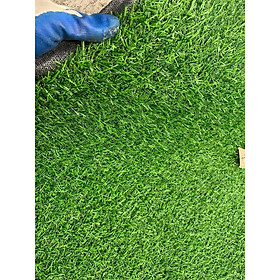 Mua Cỏ nhân tạo hàng dày sợi nhựa cao 2cm