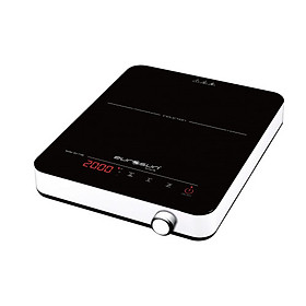 Bếp từ Eurosun EU-T198