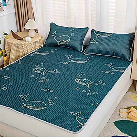 Mua Chiếu Điều Hoà Cao Su Non 2D loại dày mát