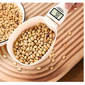 Muỗng cân loại to cân được tới 800gr