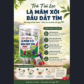 Trà lá Mâm Xôi Bầu Đất Tím - túi lọc tiện dụng 20 gói, thơn ngon dễ uống - Nội tiết tố nữ