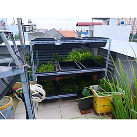 Mua kệ sắt v lỗ trồng rau (dùng khay 65cm x D1 3m x cao 1m 1 2m 1.5m) đa năng tiện lợi