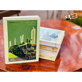 Bỉ vỏ - nguyên hồng -