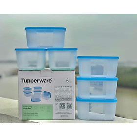 Bộ Hộp Trữ Đông Tupperware Freezermate Basic 650ml (6 Hộp)