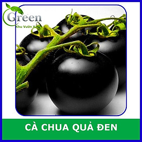 Mua Hạt Giống Cà Chua Quả Đen F1