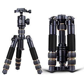 Mua Chân lùn Beike QZSD-166A  Hàng nhập khẩu