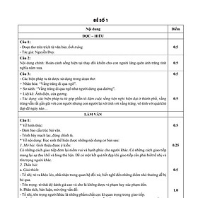 Đột phá 9 môn Ngữ Văn kì thi vào 10 THPT Classic
