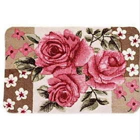 Mua Thảm lau chân cao cấp họa tiết 40x60cm (Giao mẫu ngẫu nhiên)