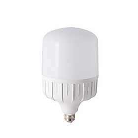 Mua Bóng đèn LED Bulb Trụ  Rạng Đông Model: LED TR100N1/30W SS