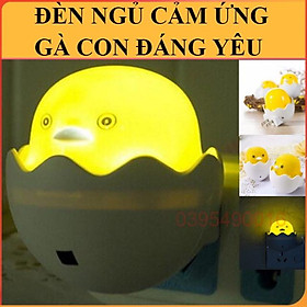 Mua Đèn Ngủ Cảm Ứng Hình Gà Con Nở Mini Dễ Thương Đáng Yêu Cảm Biến ánh  Sáng Tự Động Tắt Bật Tiết Kiệm Điện Tiện Lợi 220V