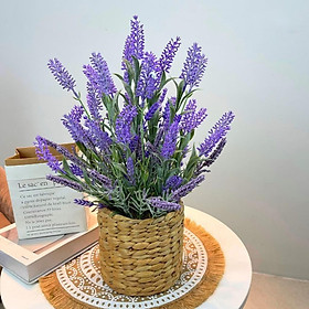 Mua Chậu cây trang trí để bàn kèm giỏ y hình các loại - Cao 35cm đến 48cm - Cây giả  hoa lụa Decor trang trí nhà cửa