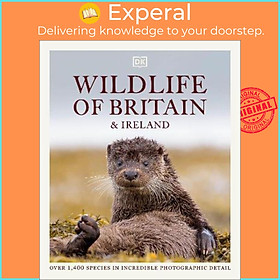 Sách - Wildlife of Britain and Ireland : Over 1,400 Species in Incredible Photographic Det by DK (UK edition, hardcover)