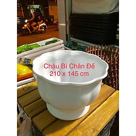 Combon 2 Chậu Nhựa Khía Bầu, Chậu Phú Quý Trồng Hoa Trang Trí Để Bàn, Chậu Chân Đế Hình Quả Bí