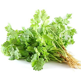 Mua Hạt giống rau Ngò rí