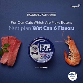 PATE CHO MÈO NUTRI PLAN HÀN QUỐC 160G