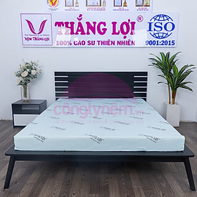 Mua Nệm cao su hoạt tính TL